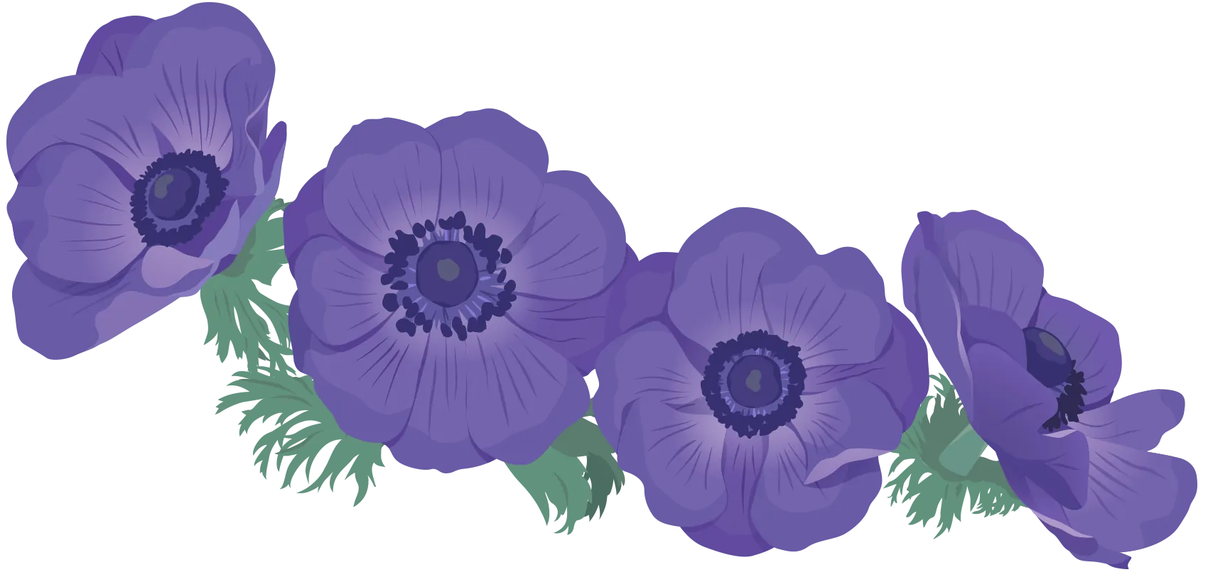 花朵装饰